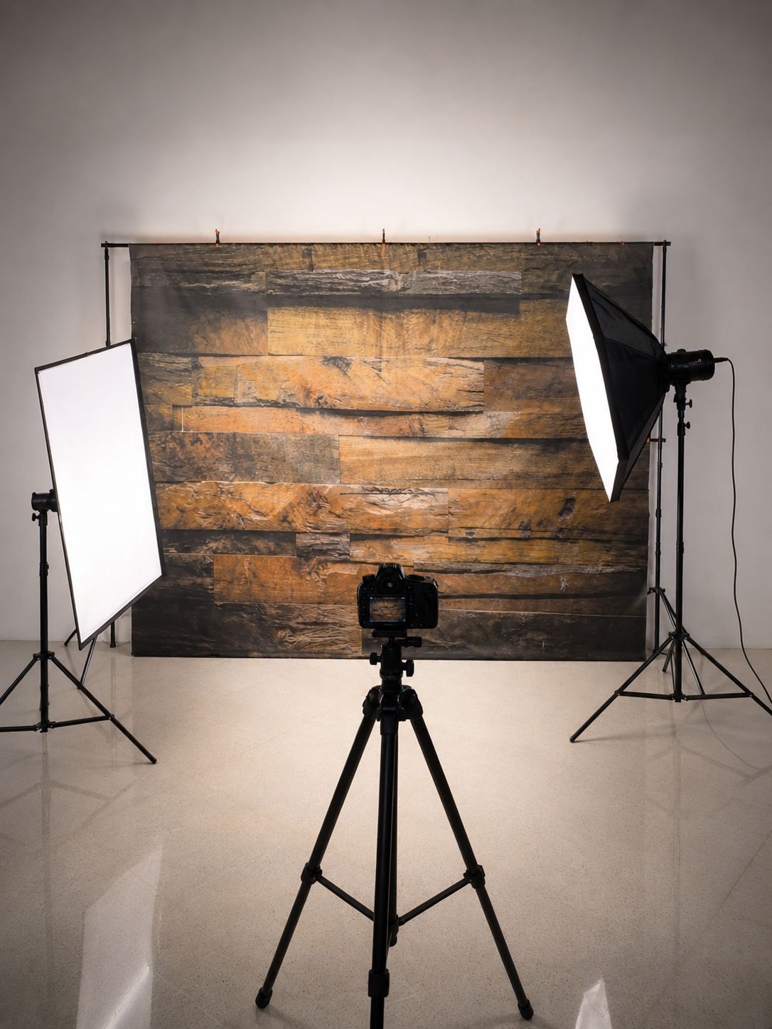 Palma Estudio - Imagen 1