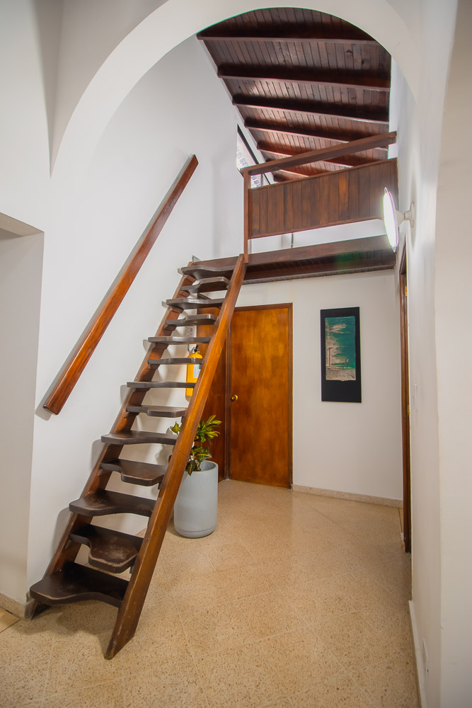 Palma Estudio - Imagen 2