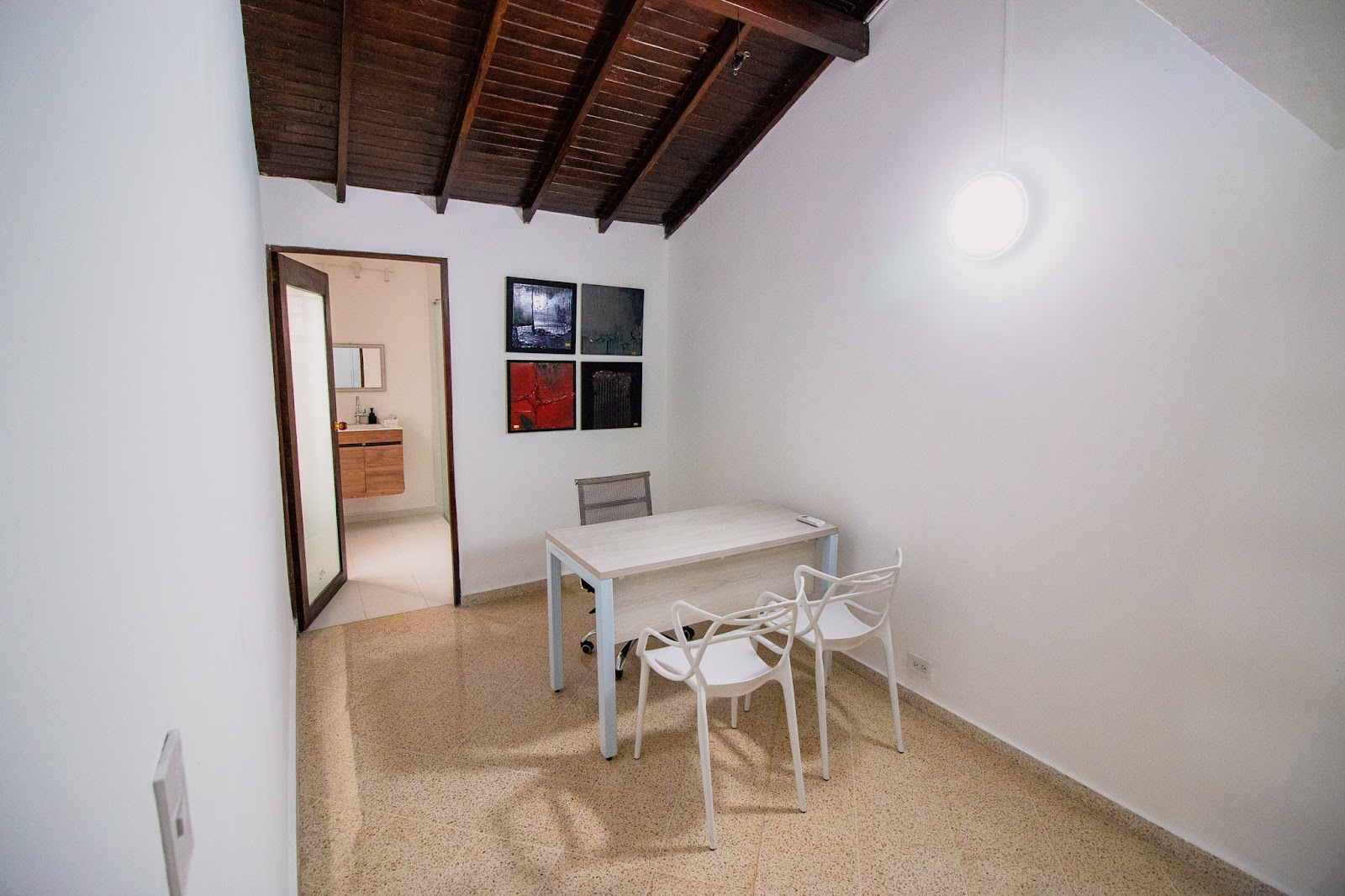 Palma Raíz - Imagen 2